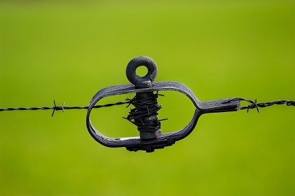 green-tiefenscharfe-focus-barbed-wire-60066.jpeg