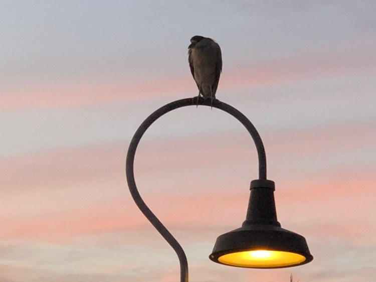 yFeDqSgTTim3I%N9GnFWOw